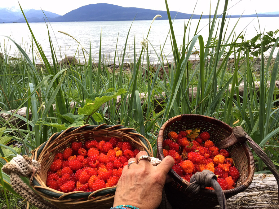 Alaskan Salmon Berry Pie Clarissa Rizal Blog