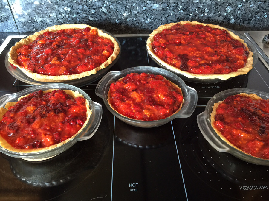 Alaskan Salmon Berry Pie Clarissa Rizal Blog